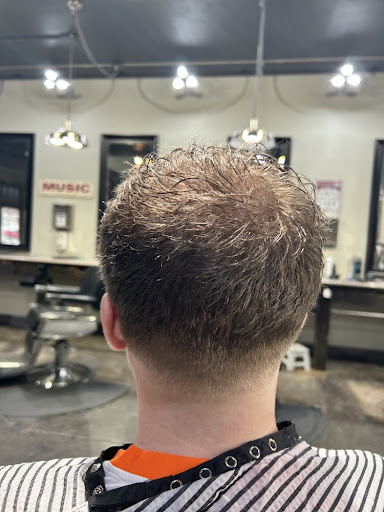 Curly hair taper fade back view